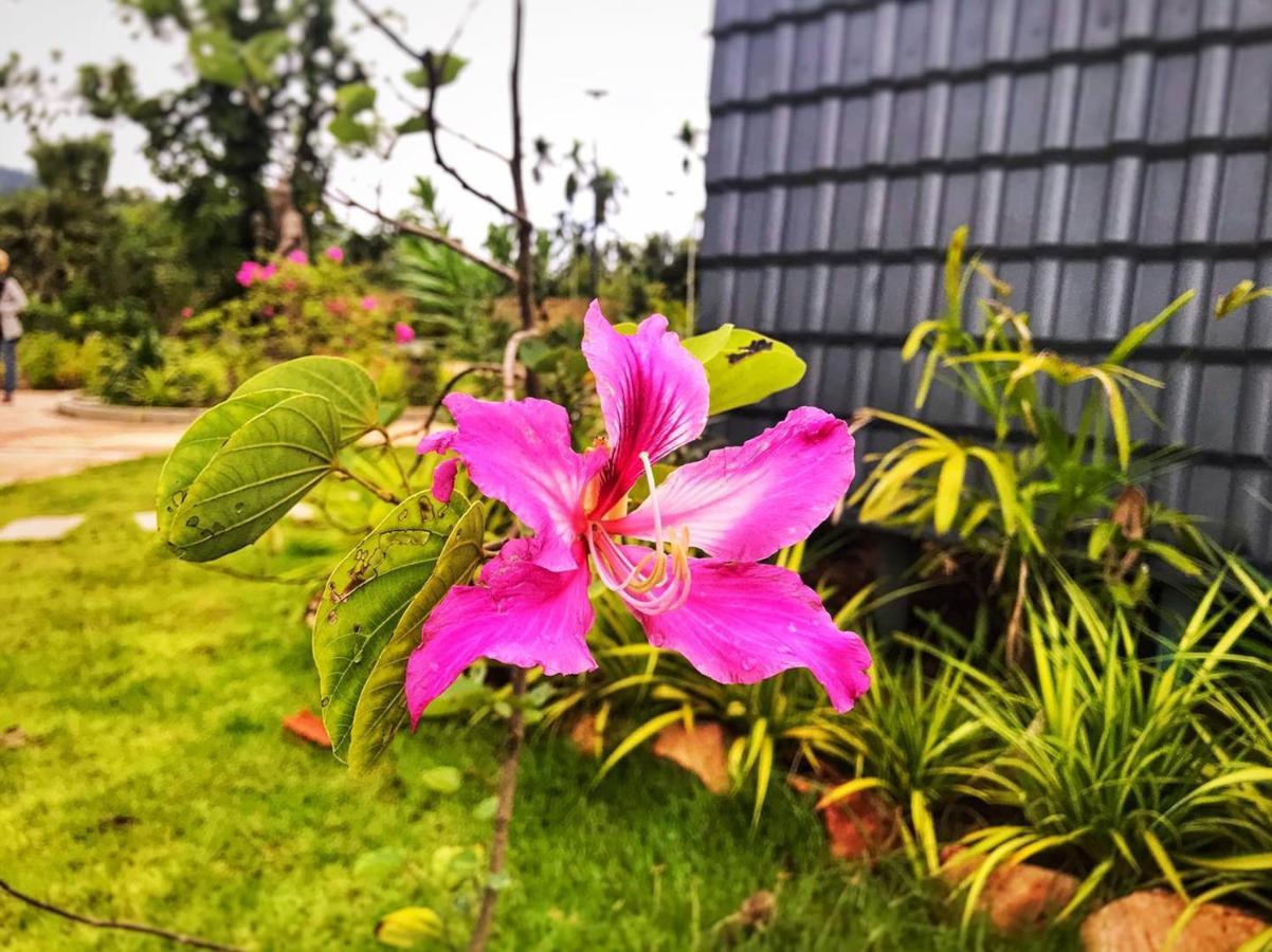 Kampot Tropical Village ภายนอก รูปภาพ